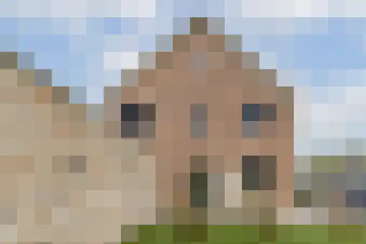 Oostlaan 67 Pijnacker thumbnail 24