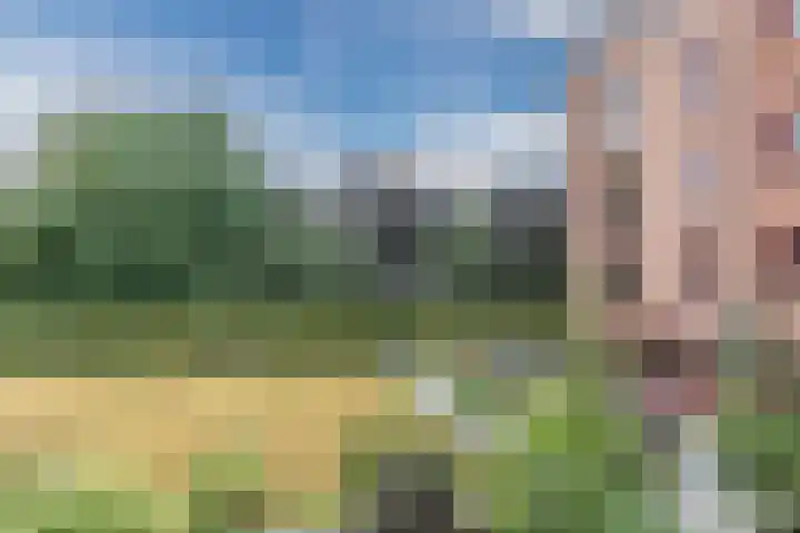 Oostlaan 67 Pijnacker thumbnail 34