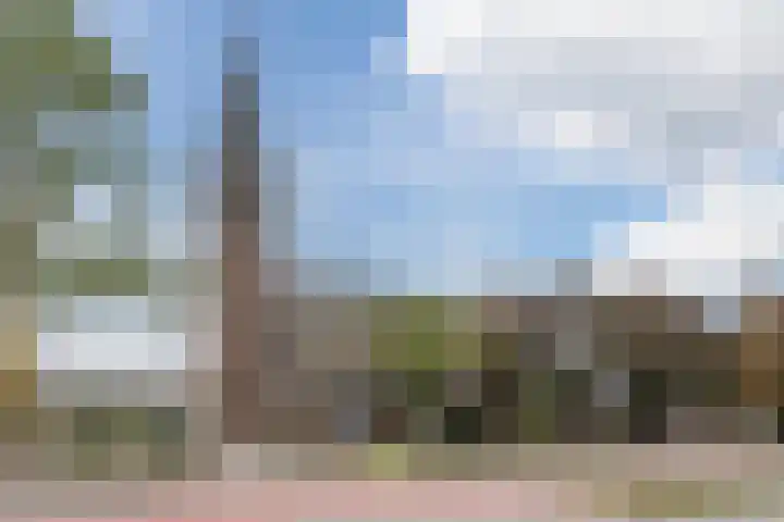 Oostlaan 67 Pijnacker thumbnail 40