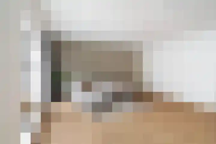 Oostlaan 67 Pijnacker thumbnail 44