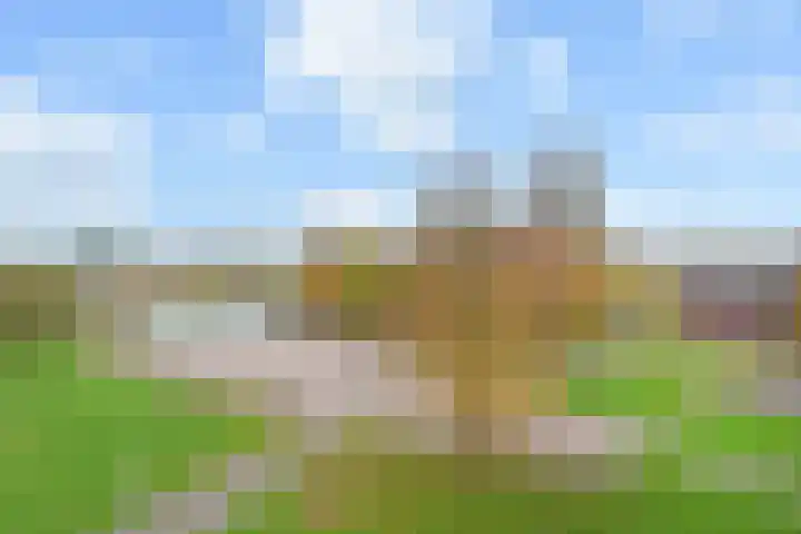 Oostlaan 75 Pijnacker thumbnail 19