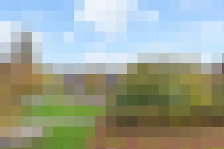 Oostlaan 75 Pijnacker thumbnail 20