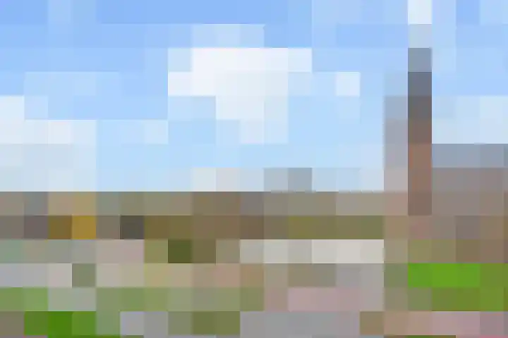 Oostlaan 75 Pijnacker thumbnail 38
