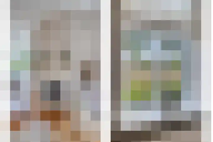 Oostmoer 34 Nispen thumbnail 16