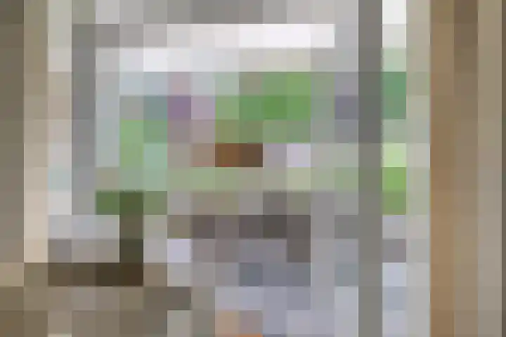 Oostmoer 34 Nispen thumbnail 21