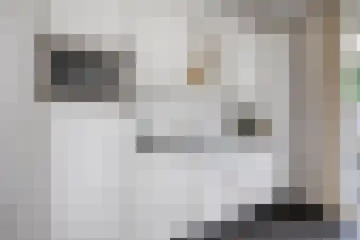 Oostmoer 34 Nispen thumbnail 22
