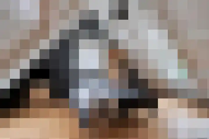 Oostmoer 34 Nispen thumbnail 33
