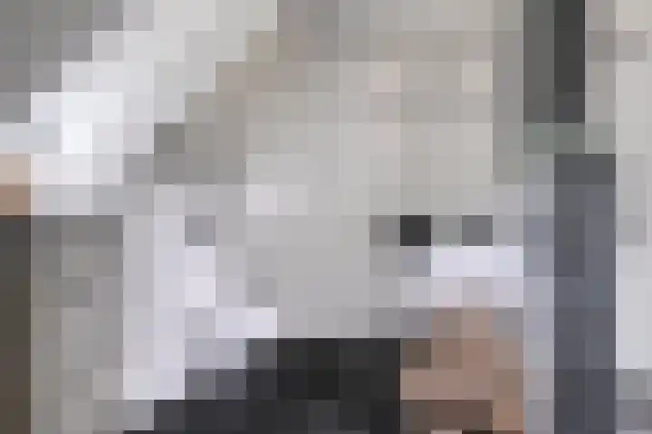 Oostmoer 34 Nispen thumbnail 41
