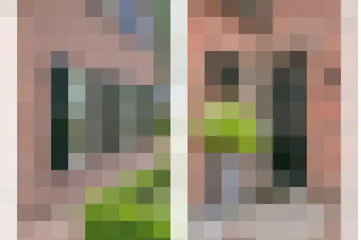 Oostmoer 34 Nispen thumbnail 5