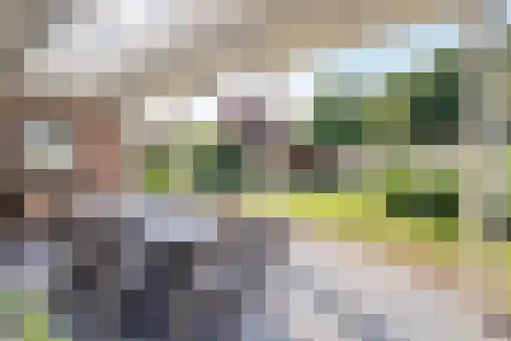 Oostmoer 34 Nispen thumbnail 54
