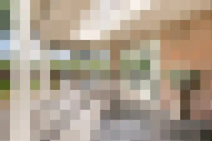Oostmoer 34 Nispen thumbnail 55