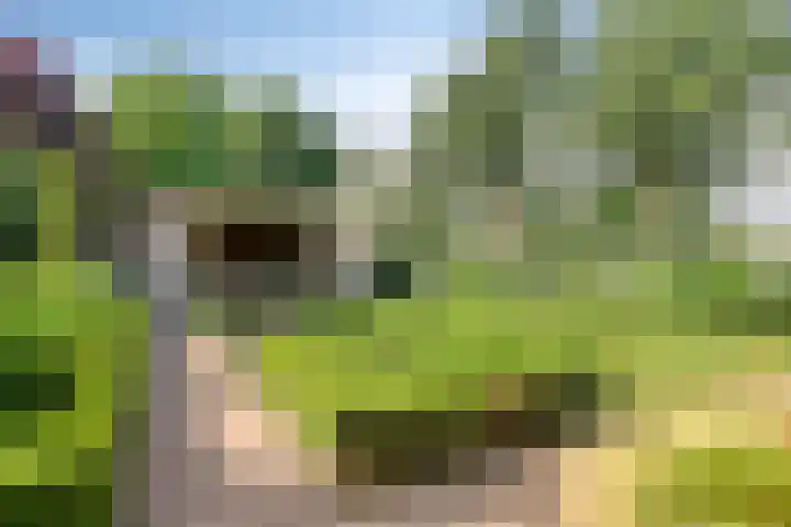 Oostmoer 34 Nispen thumbnail 59