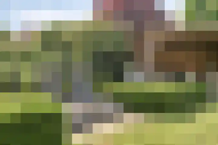 Oostmoer 34 Nispen thumbnail 60