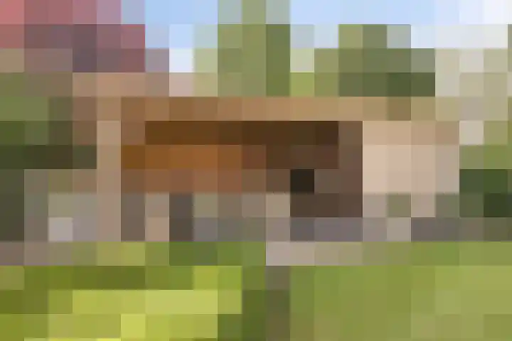 Oostmoer 34 Nispen thumbnail 61