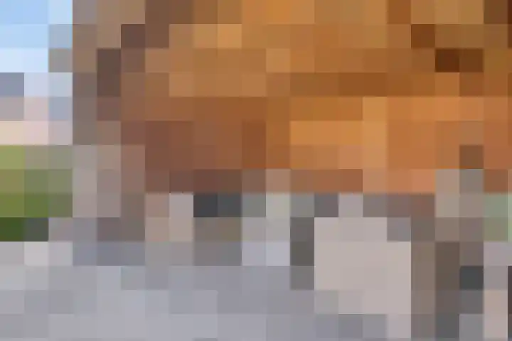 Oostmoer 34 Nispen thumbnail 62