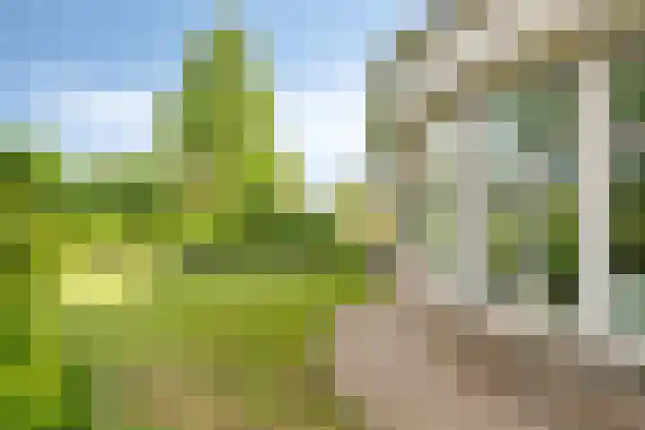 Oostmoer 34 Nispen thumbnail 65
