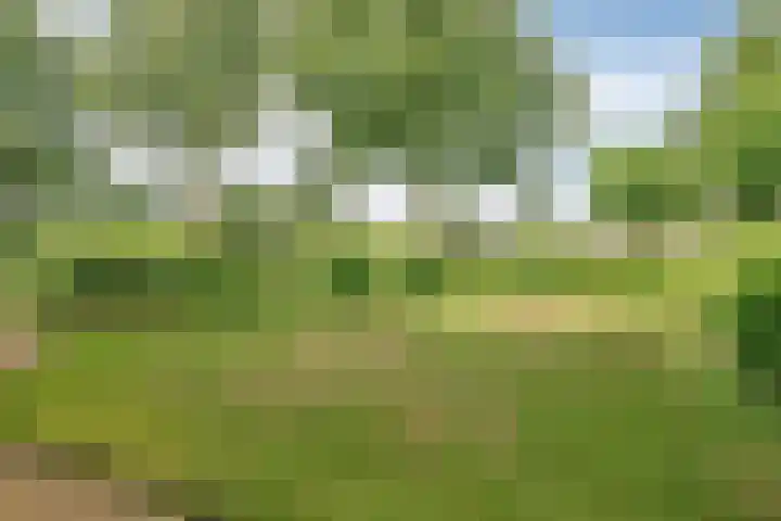 Oostmoer 34 Nispen thumbnail 66