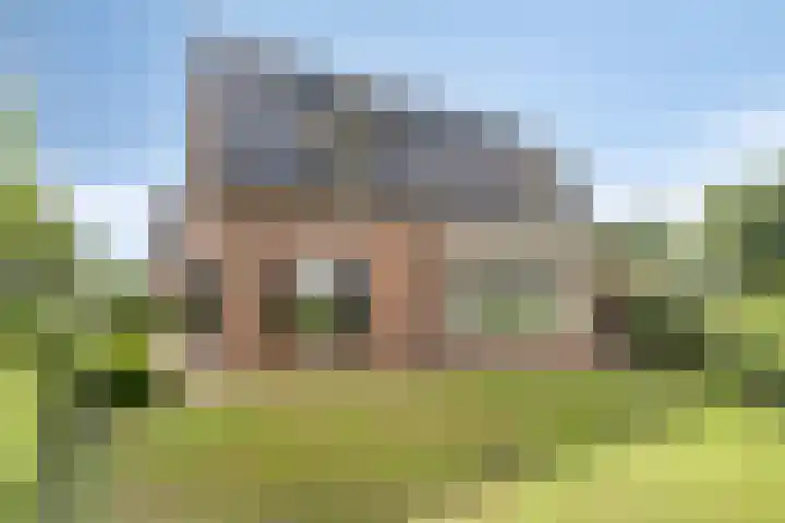 Oostmoer 34 Nispen thumbnail 67