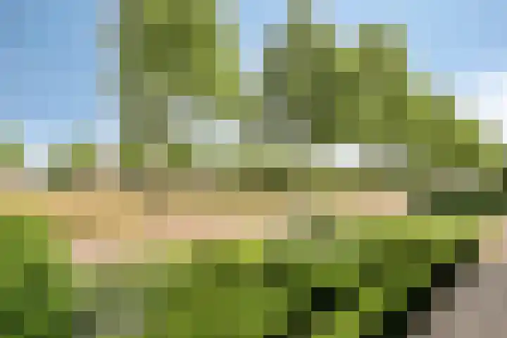 Oostmoer 34 Nispen thumbnail 75