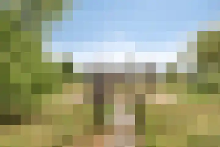 Oostmoer 34 Nispen thumbnail 77