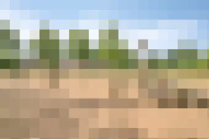 Oostmoer 34 Nispen thumbnail 78