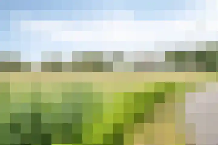 Oostmoer 34 Nispen thumbnail 80