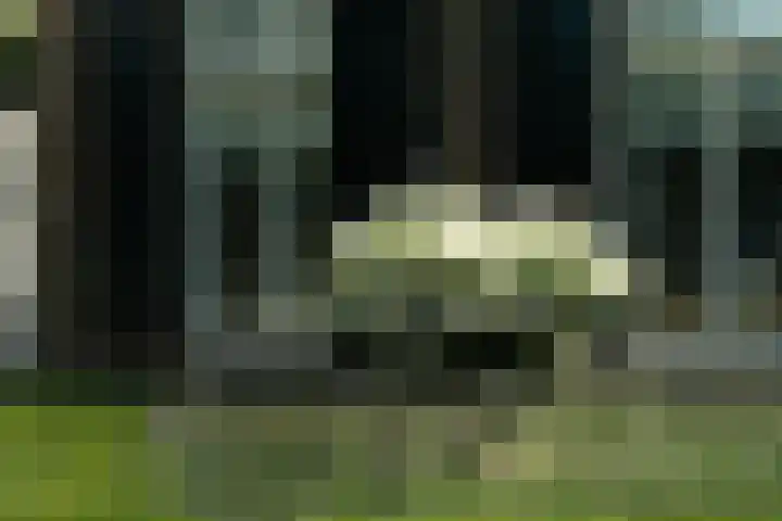 Oostmoer 34 Nispen thumbnail 81
