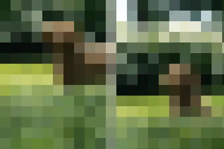 Oostmoer 34 Nispen thumbnail 88