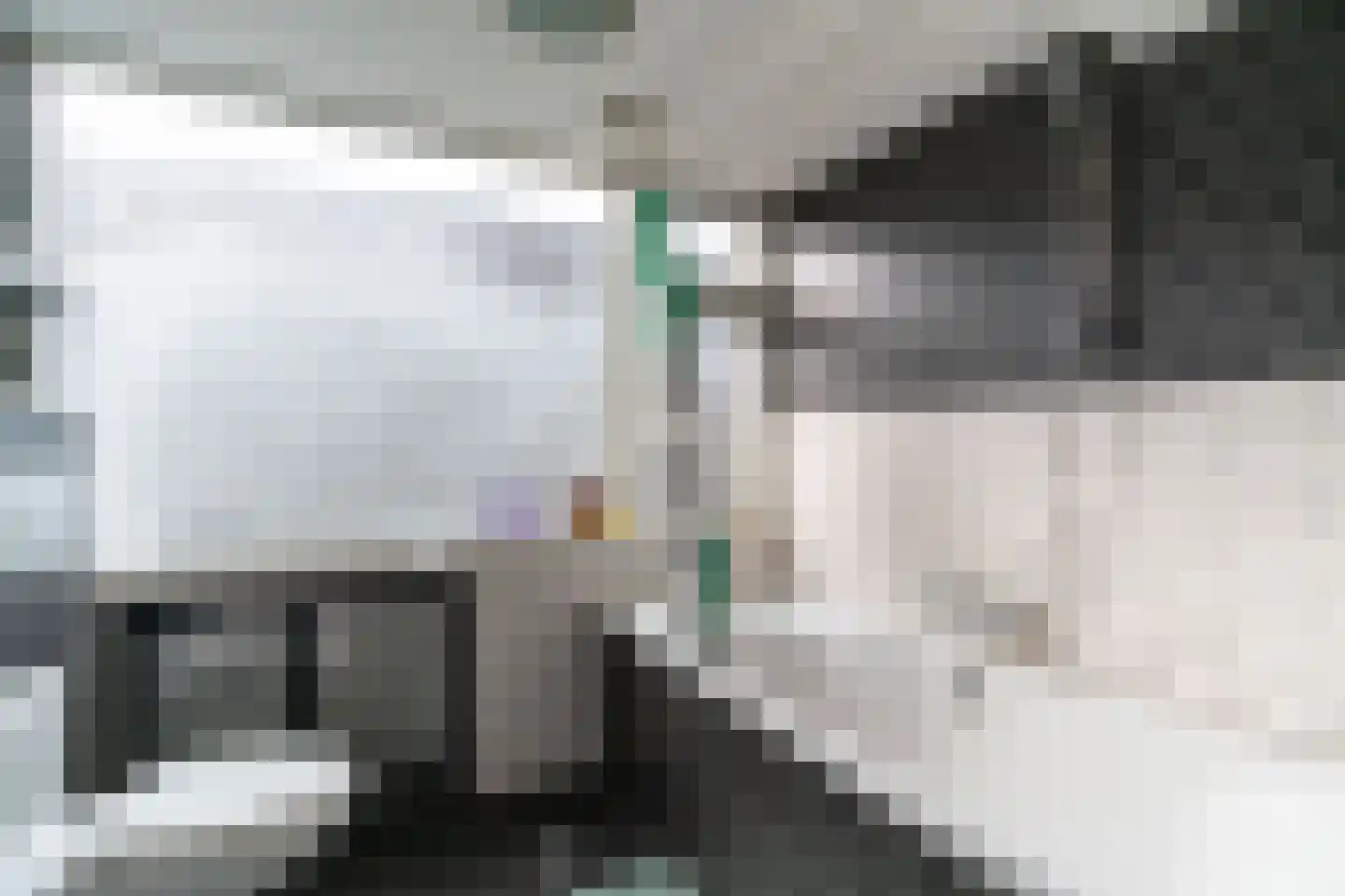 Oostplein 7 Delft thumbnail 27