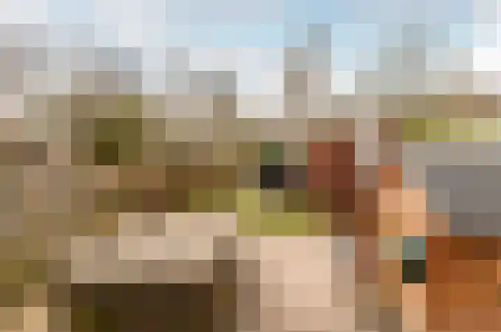Oostrandpark 117 Lelystad thumbnail 33