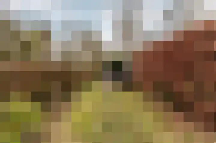 Oostrandpark 117 Lelystad thumbnail 4