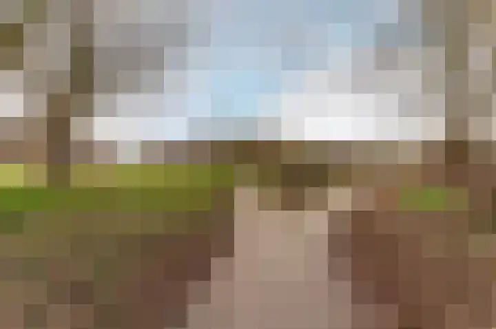 Oostrandpark 117 Lelystad thumbnail 47