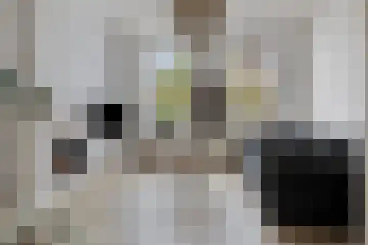 Oostsingel 140 Goes thumbnail 10