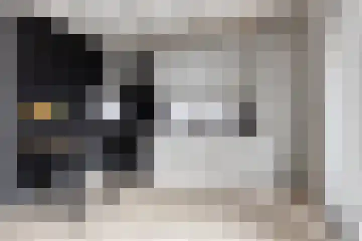 Oostsingel 140 Goes thumbnail 16