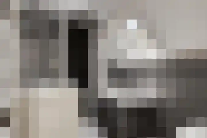 Oostsingel 140 Goes thumbnail 32
