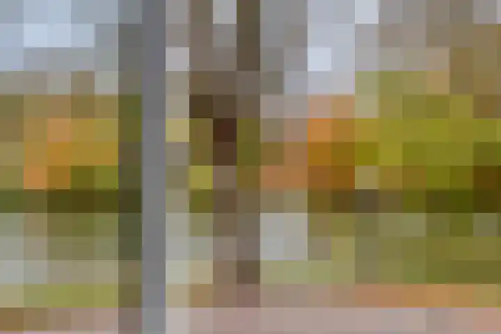Oostsingel 140 Goes thumbnail 36