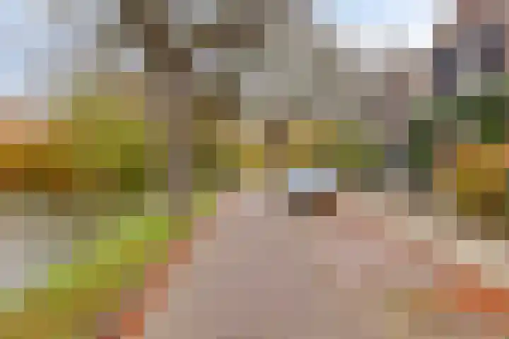 Oostsingel 140 Goes thumbnail 4