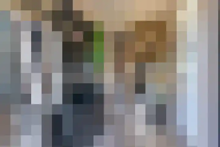 Oostsingel 28 Venray thumbnail 33