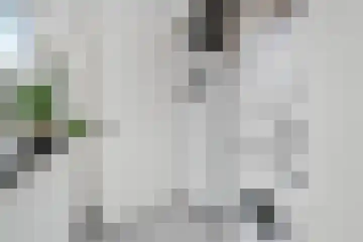 Oostsingel 4 Delft thumbnail 17