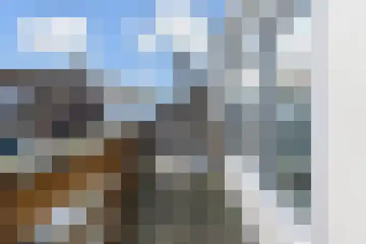 Oostsingel 4 Delft thumbnail 31