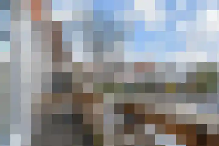 Oostsingel 4 Delft thumbnail 32