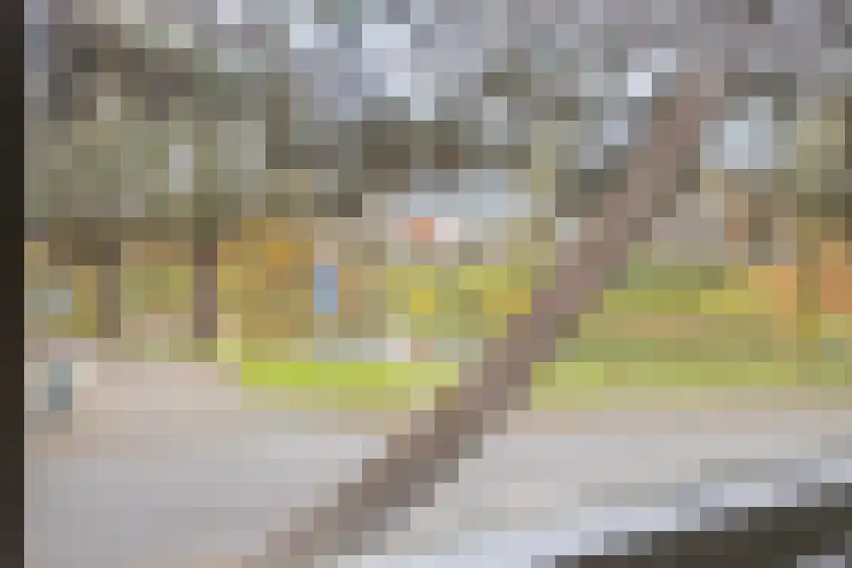 Oostsingel 52 Goes thumbnail 19