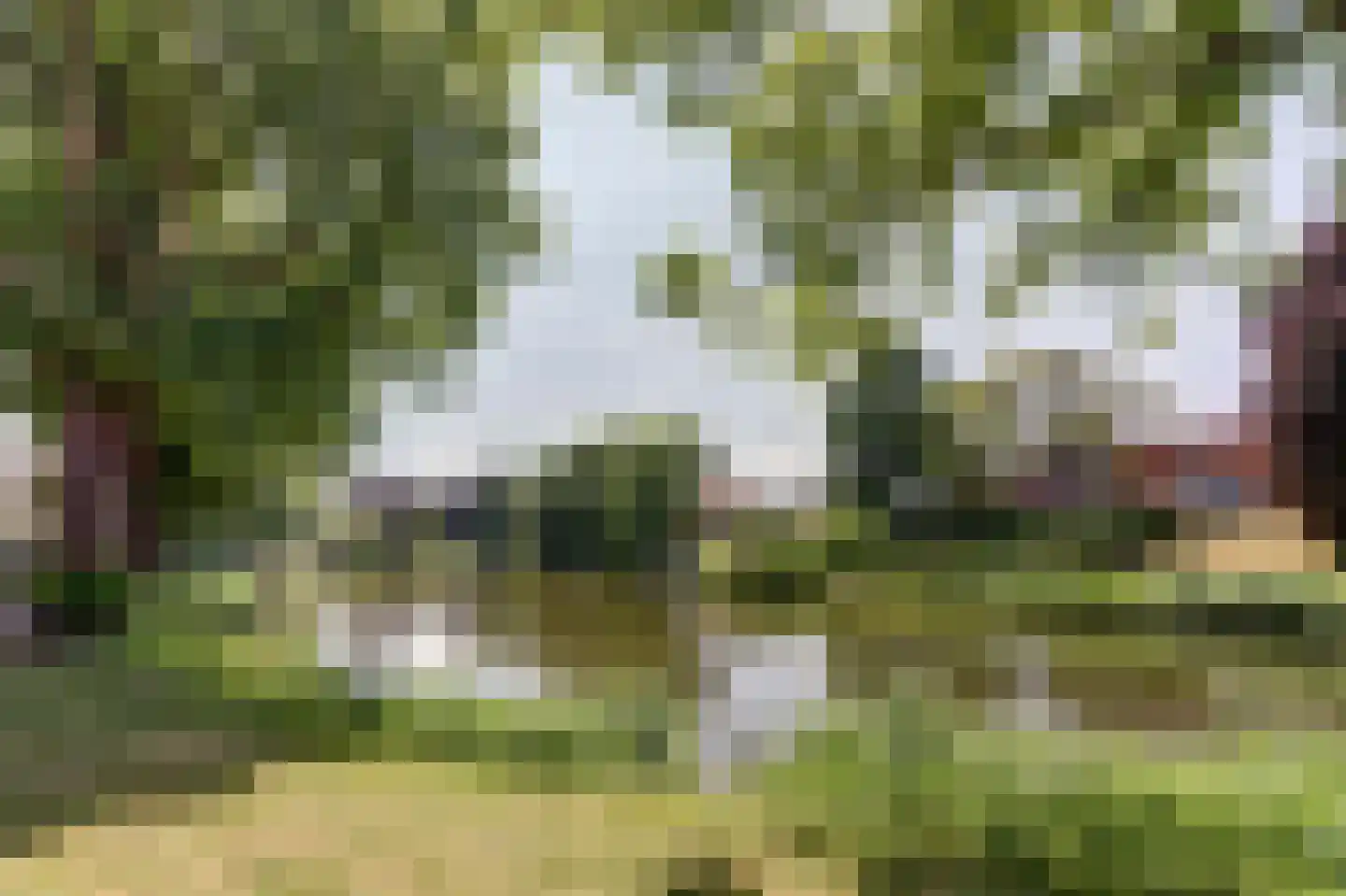Oostsingel 52 Goes thumbnail 23
