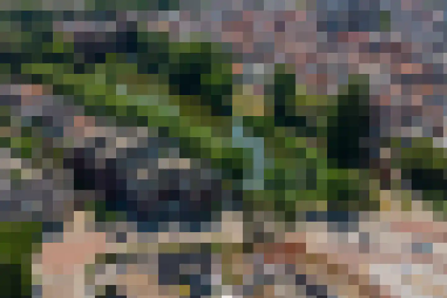 Oostsingel 52 Goes thumbnail 33
