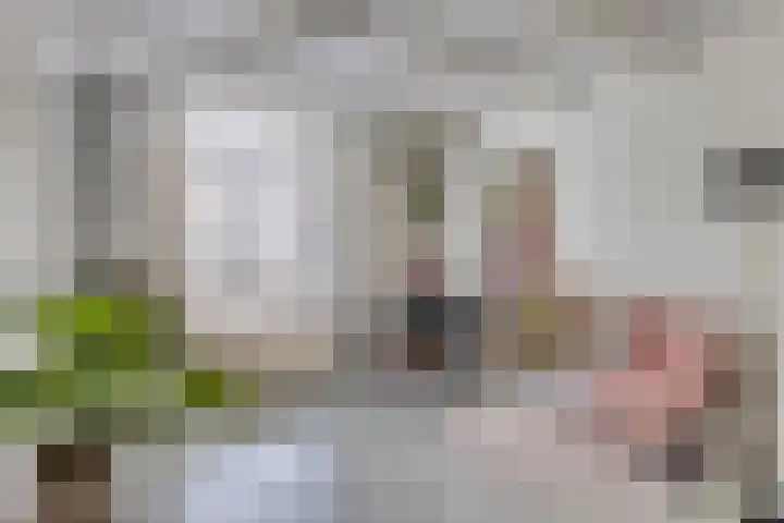 Oostsingel 54 Schiedam thumbnail 13