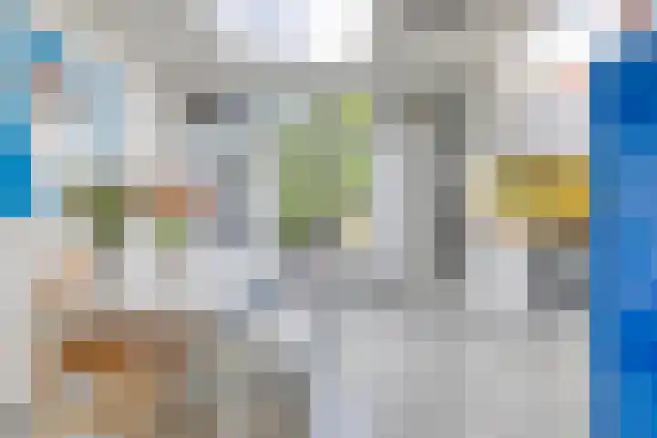 Oostsingel 54 Schiedam thumbnail 25