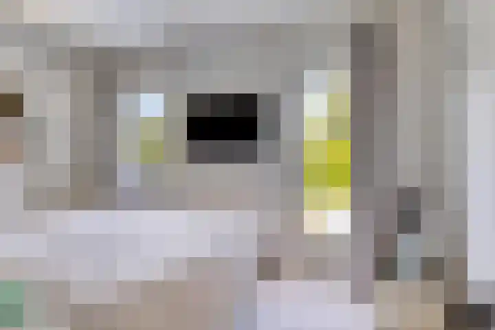 Oostsingel 54 Schiedam thumbnail 33