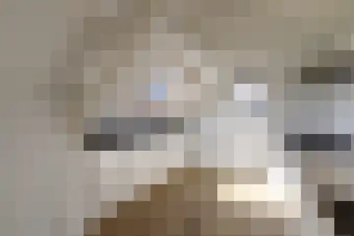 Oostwal 1 Leerdam thumbnail 14