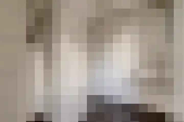 Oostwal 1 Leerdam thumbnail 17