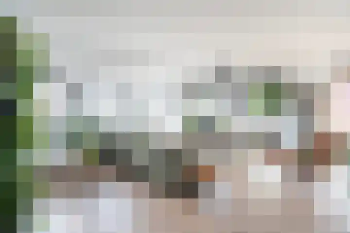 Oostwal 13 Leerdam thumbnail 10
